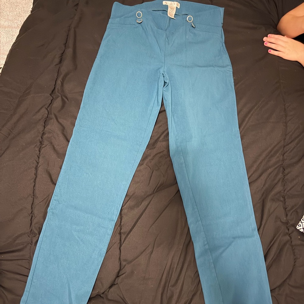 Dress pants lightly used.